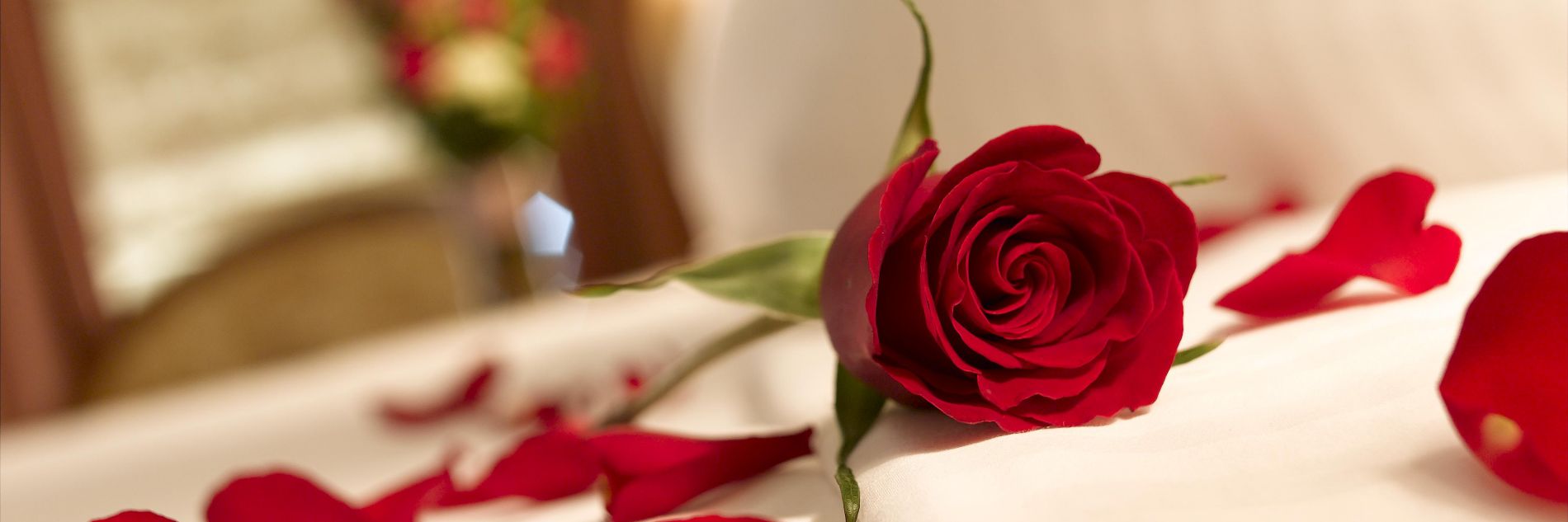 red-rose-petals-on-bed.jpg